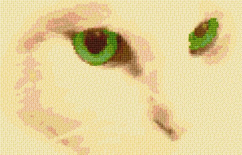 White Cat's Eyes free cross-stitch pattern