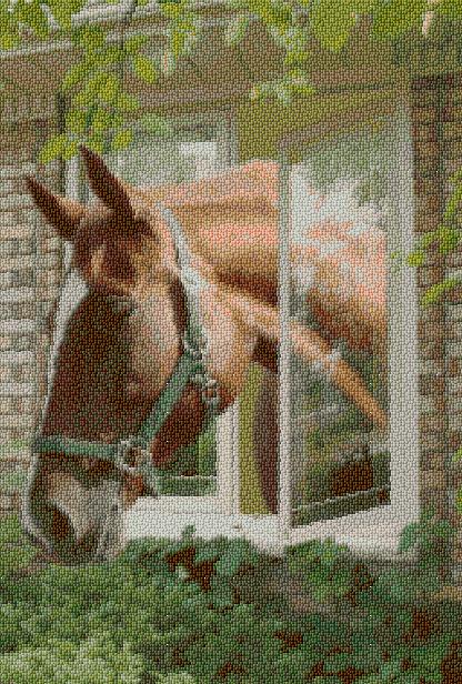 Horse in the Window - Kit free cross-stitch pattern