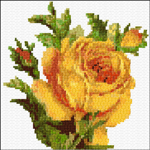 Yellow Rose