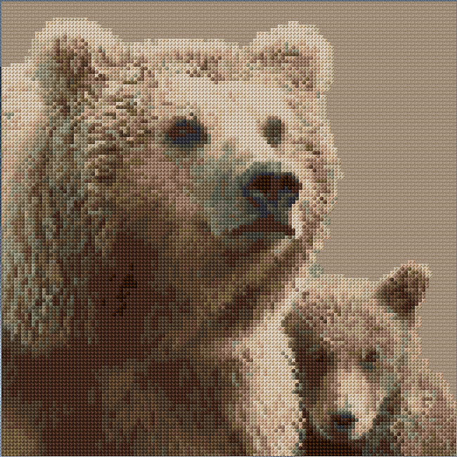 Bears